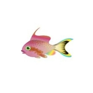 Threadfin Anthias Fish